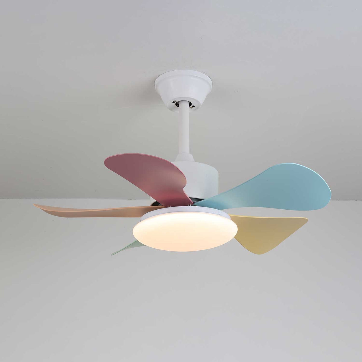 Candy Breeze Ceiling Fan Light