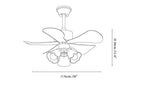 Candy Breeze Ceiling Fan Light