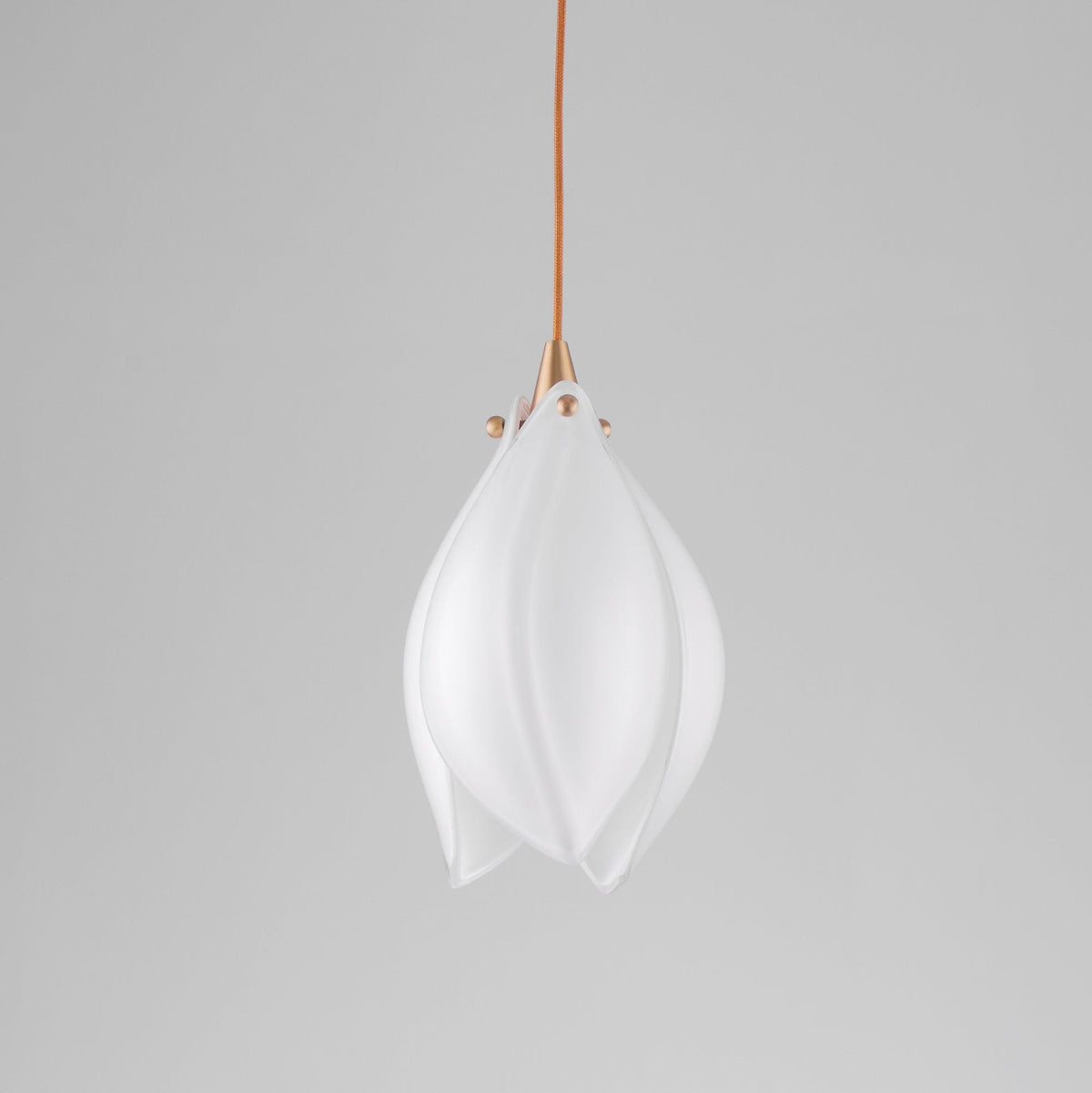 Bloom Pendant Light