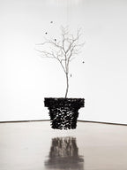 Charcoal Chandeliers