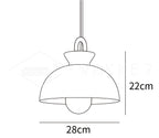 Coil Ceiling Pendant Light