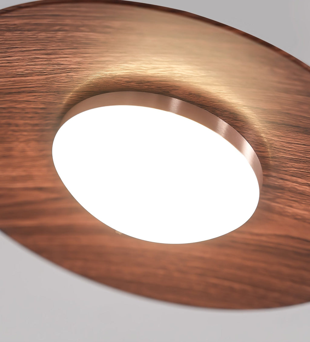 Crane Swing Arm Pendant Lamp