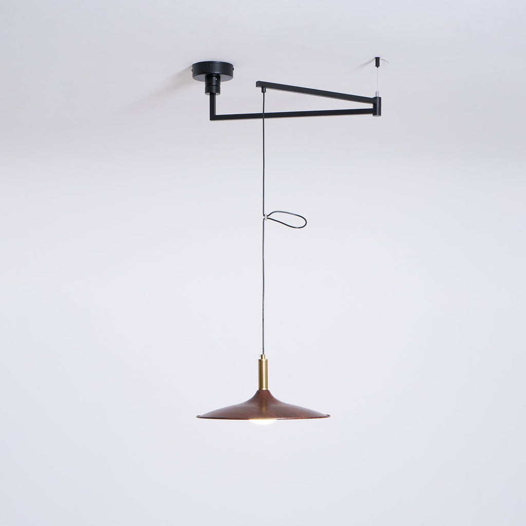 Crane Swing Arm Pendant Lamp