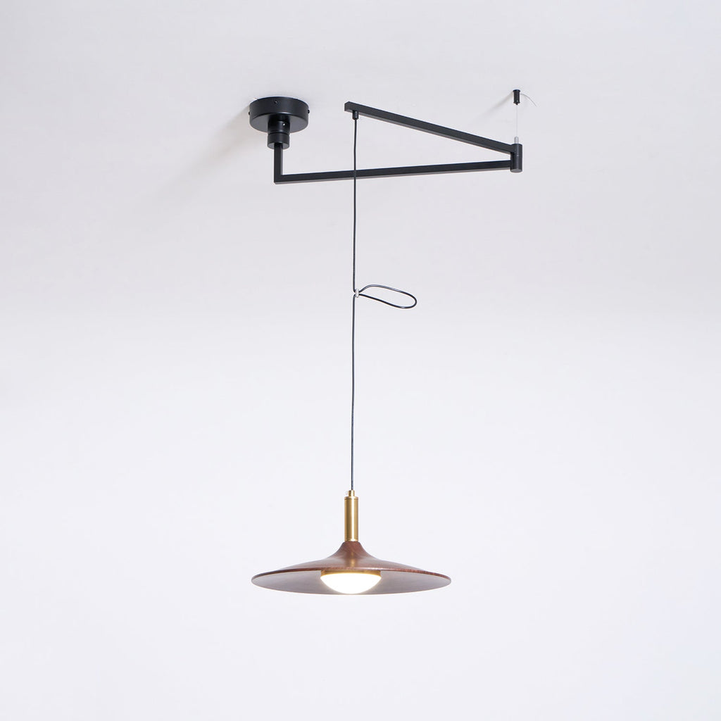 Crane Swing Arm Pendant Lamp