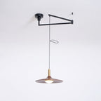 Crane Swing Arm Pendant Lamp