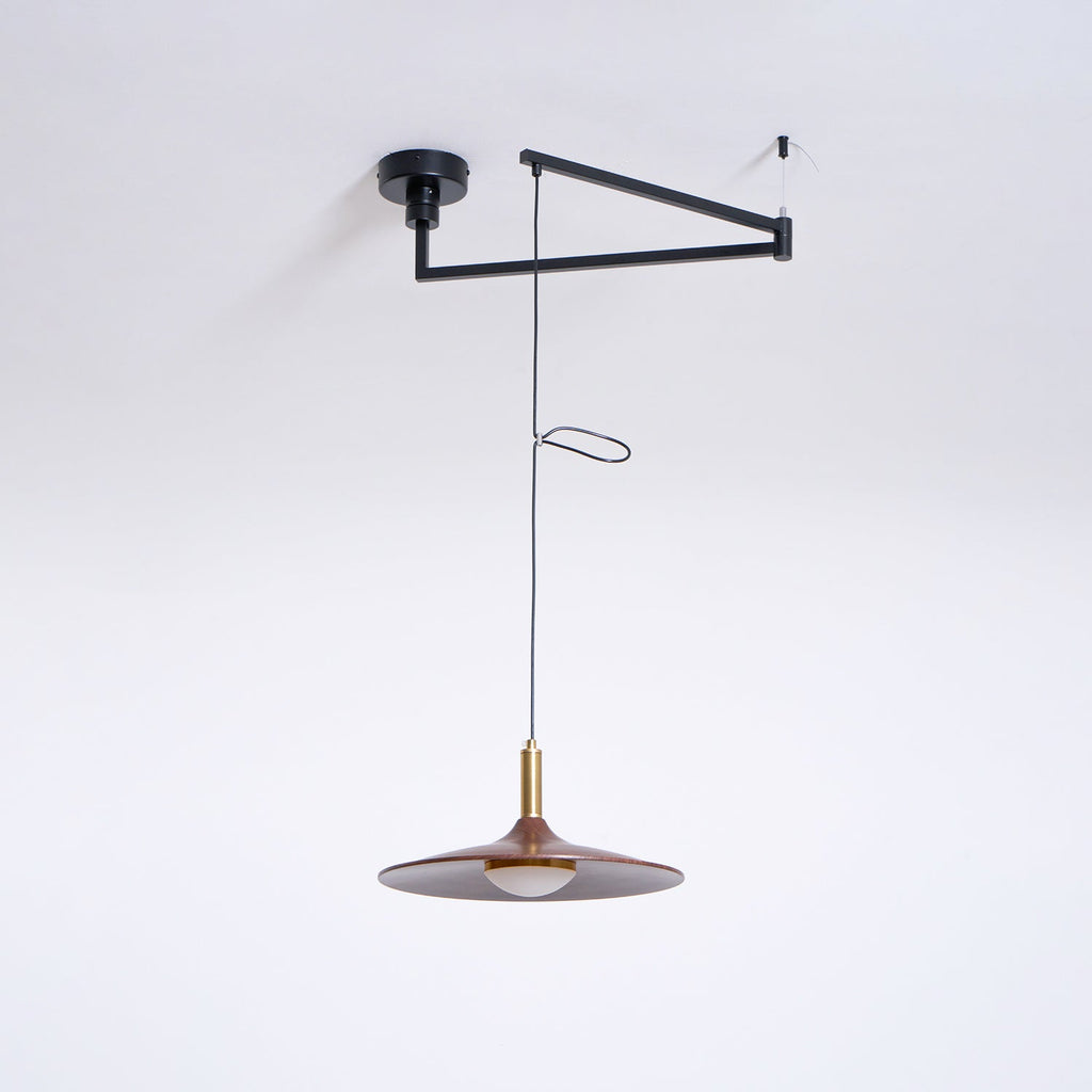 Crane Swing Arm Pendant Lamp