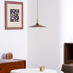 Crane Swing Arm Pendant Lamp