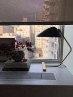 Curvilinear Mid - Century Table Lamp