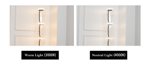 Cylindrical LED Pendant Light