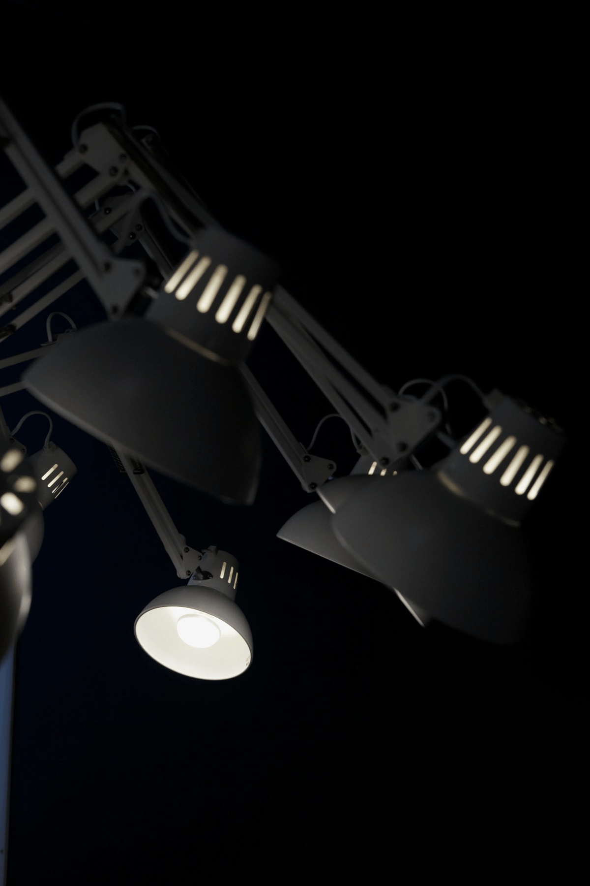 Dear Ingo Chandelier