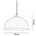 Dome Morphe Pendant Light