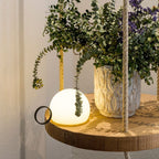 Dome Portable Table Lamp