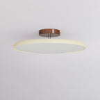 Lola Adjustable Ceiling Light