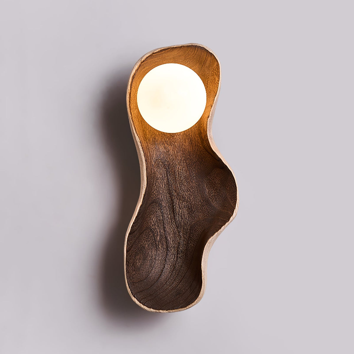 Dualis Rootlight Wall Lamp