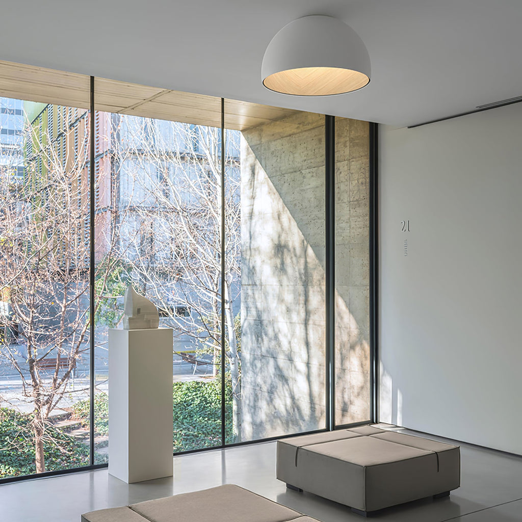 Duo Ceiling Lamp