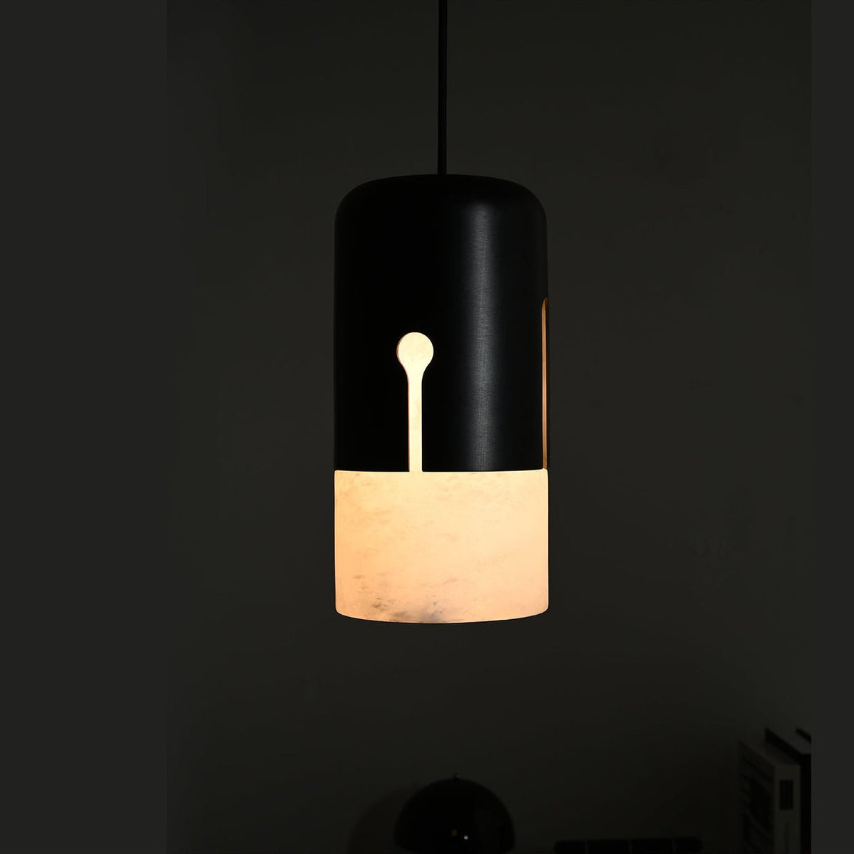 Duotone Capsule Pendant Lamp