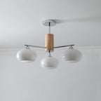 Elliptical Persimmon Chandelier