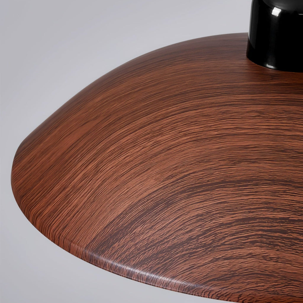 Ember Dome Pendant Light
