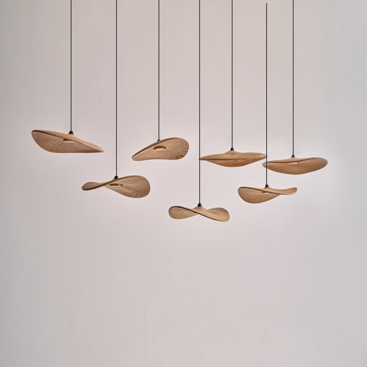Empty Leaf Chandelier