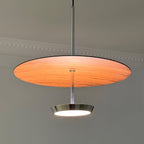 Eryndor Disc Pendant Lamp