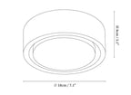 Ethan Surface Ceiling Light