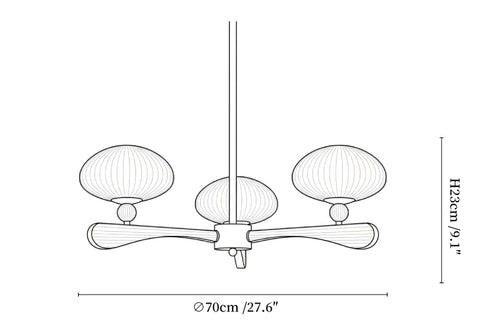 Evander Ray Chandelier