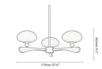 Evander Ray Chandelier
