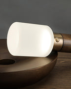 Fire Stick Built - in Battery Table Lamp