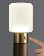 Fire Stick Built - in Battery Table Lamp