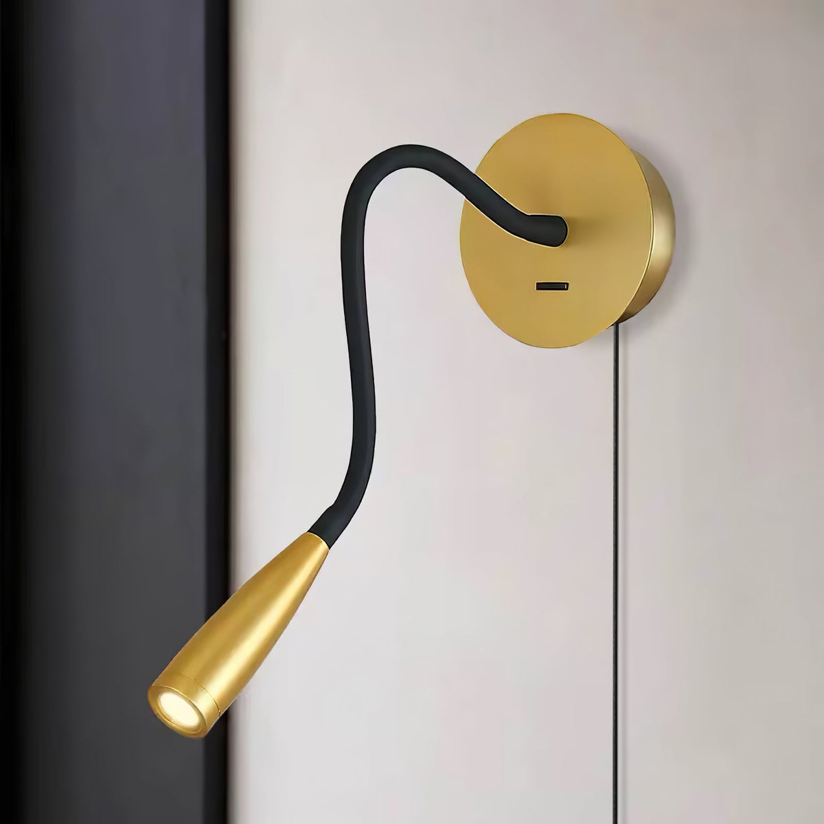 Flexi Hose Plug - in Wall Light