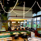 Flexible Curve Pendant Lamp