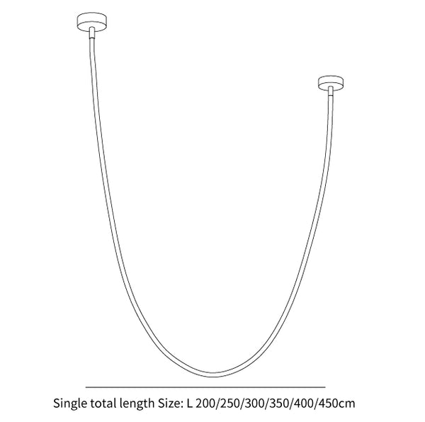 Flexible Curve Pendant Lamp