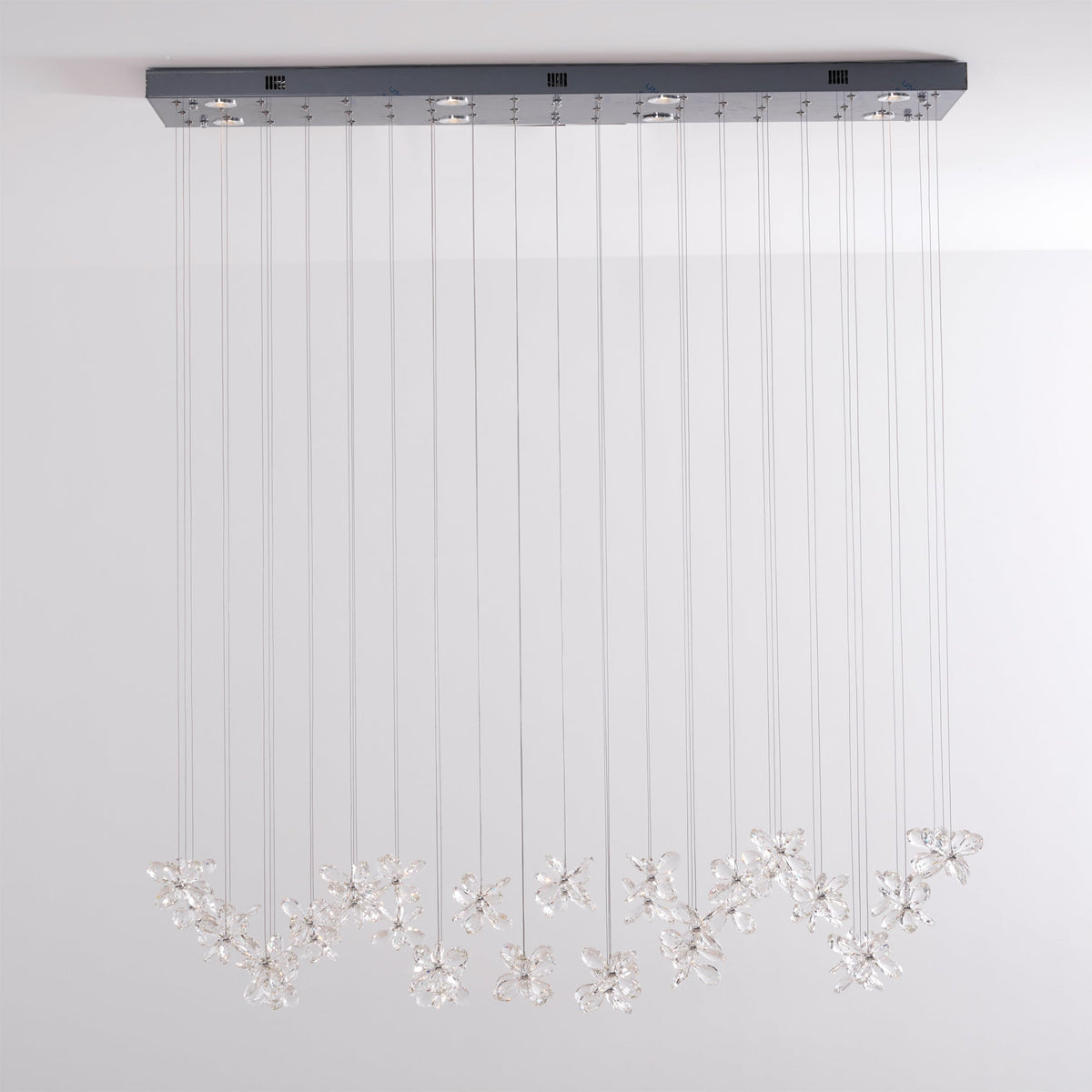 Floating Butterfly Chandelier