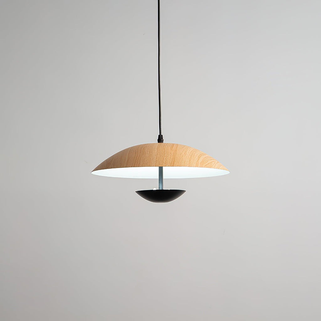 Frisbee Pendant Lamp