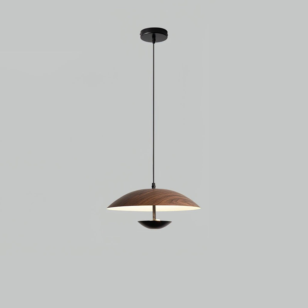 Frisbee Pendant Lamp