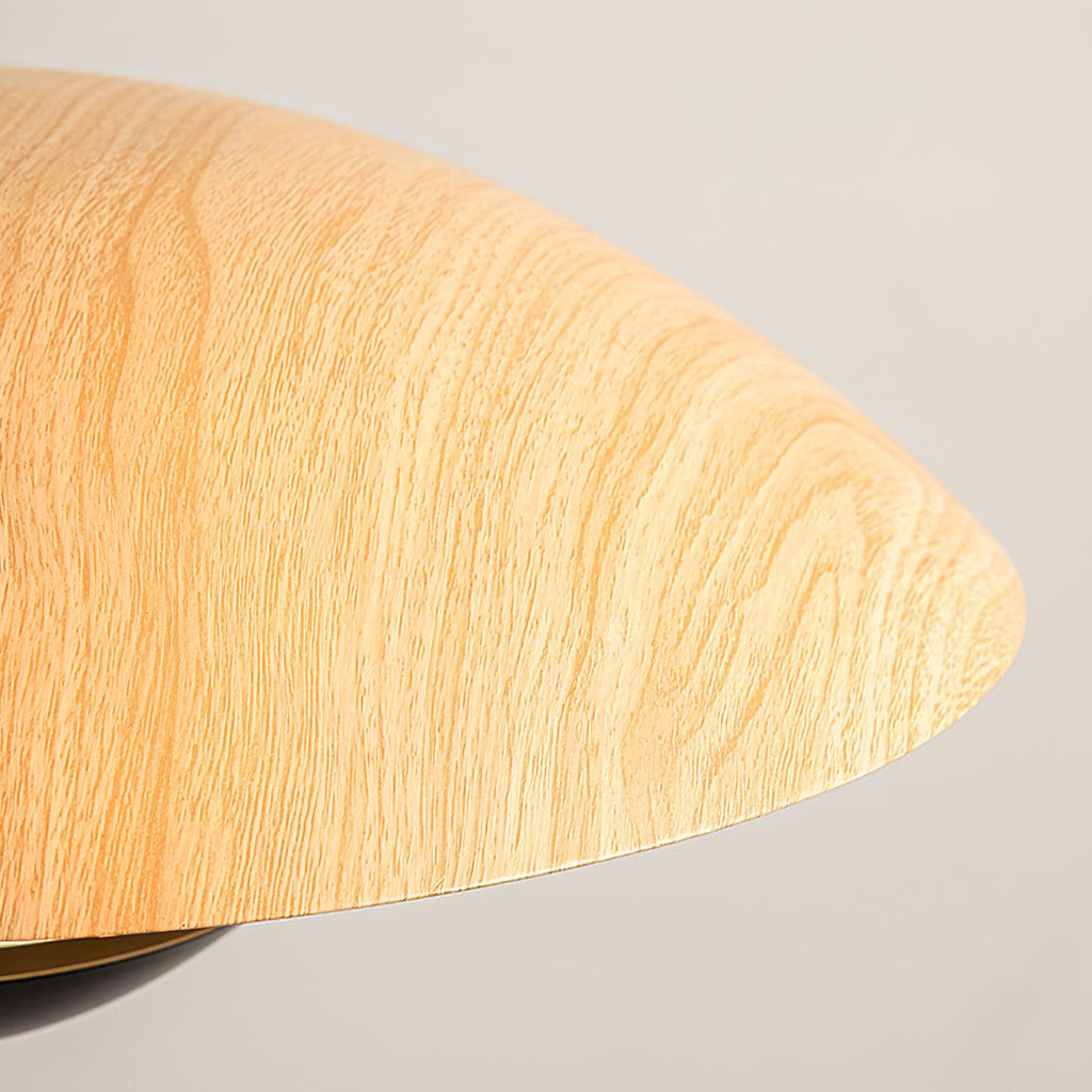 Frisbee Pendant Lamp