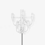 Fruit Plug - in Wall Lamp