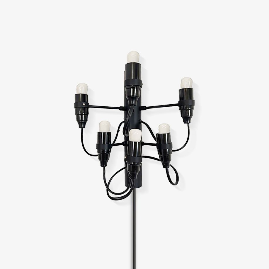 Fruit Plug - in Wall Lamp