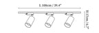 Gilded Rail Track Light