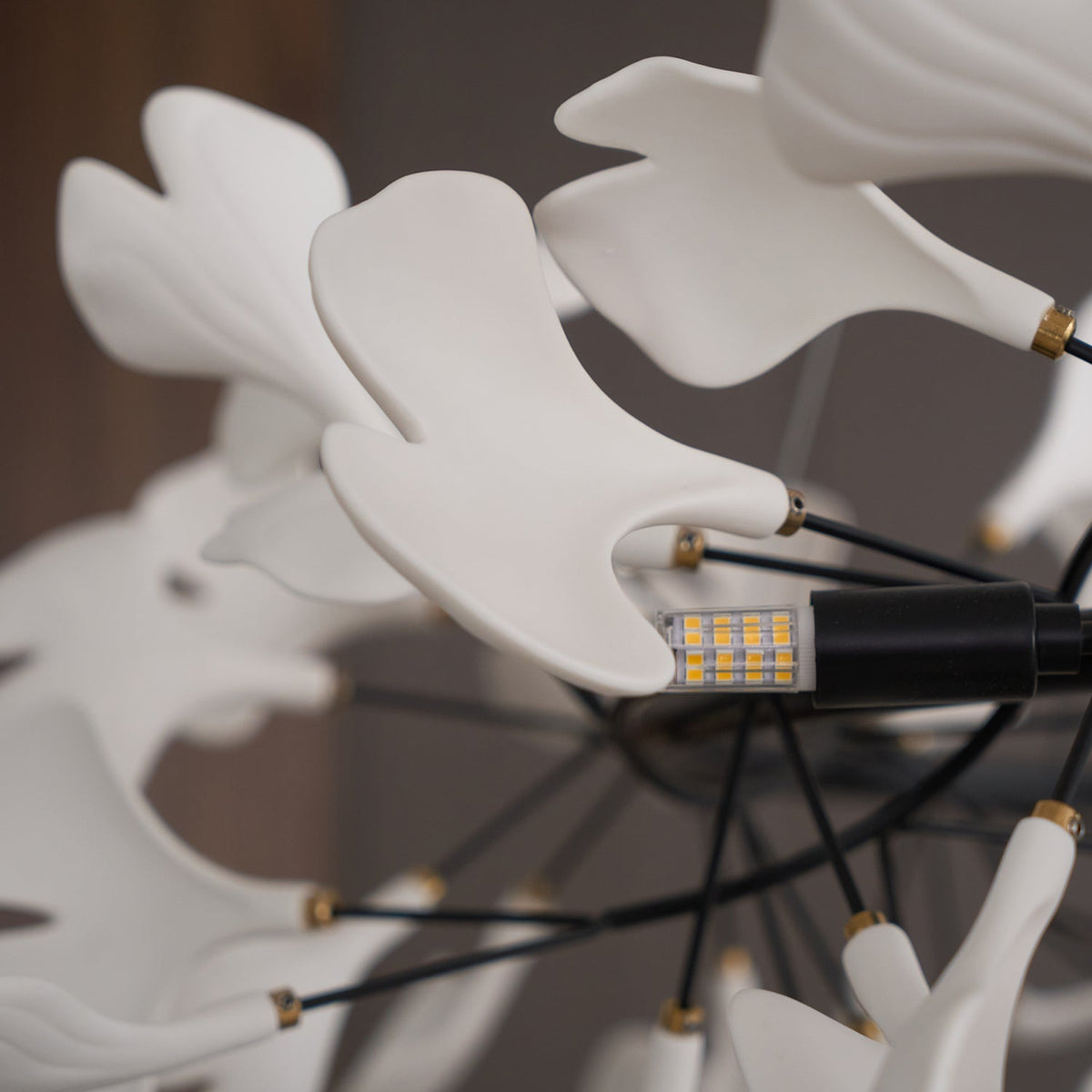 Gingko Chandelier O