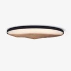 Half - Mountain Ceiling Lamp