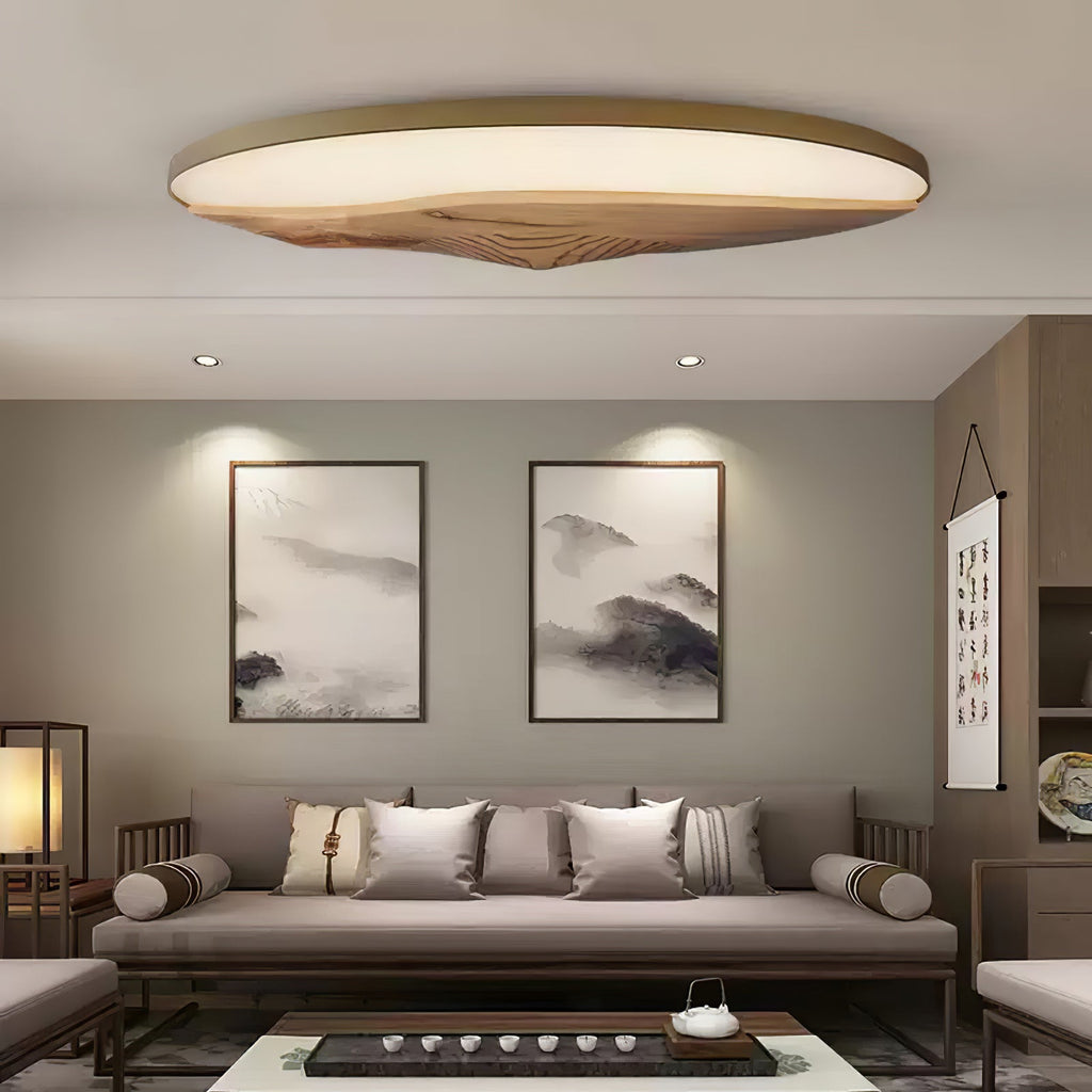 Half - Mountain Ceiling Lamp