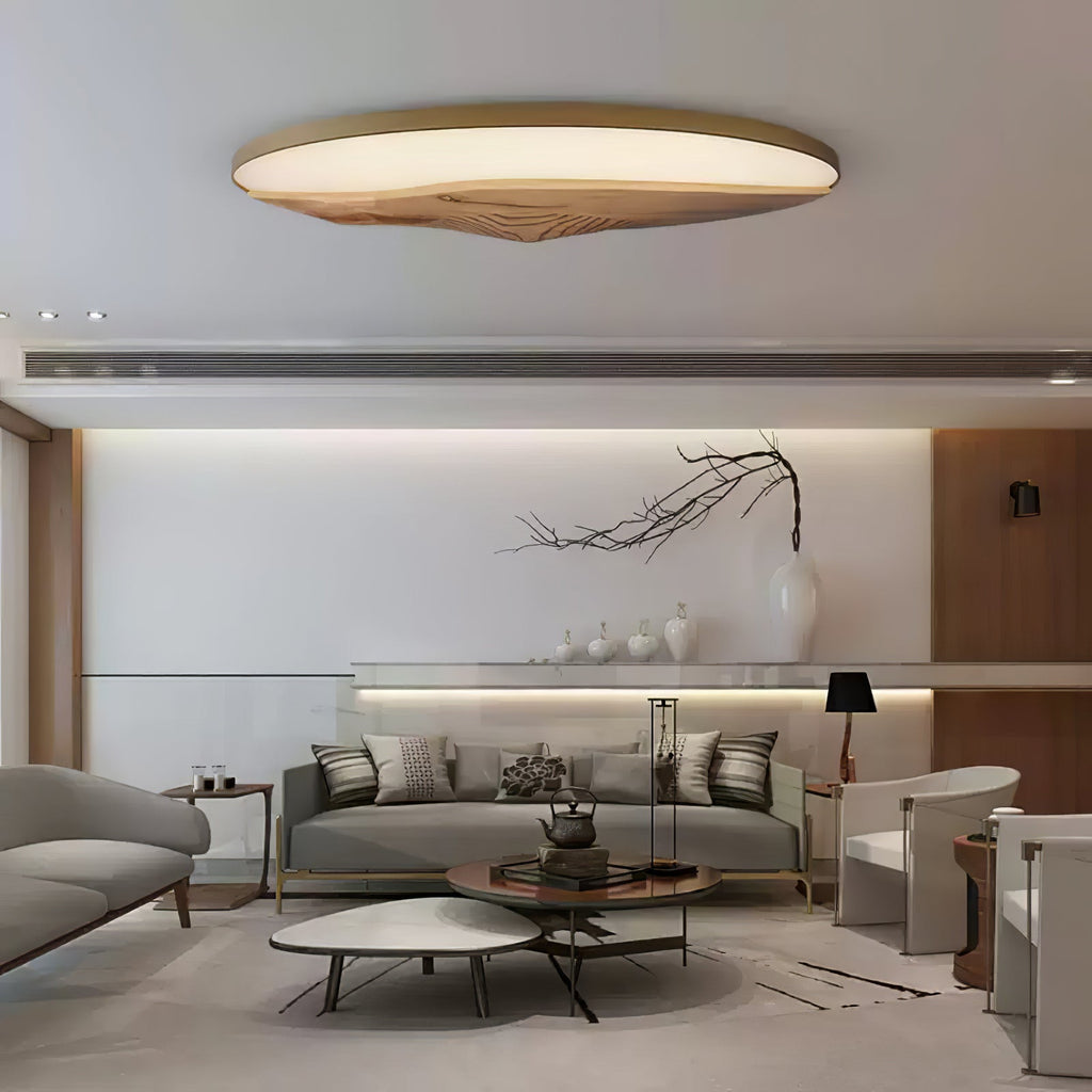 Half - Mountain Ceiling Lamp