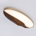Half - Mountain Ceiling Lamp