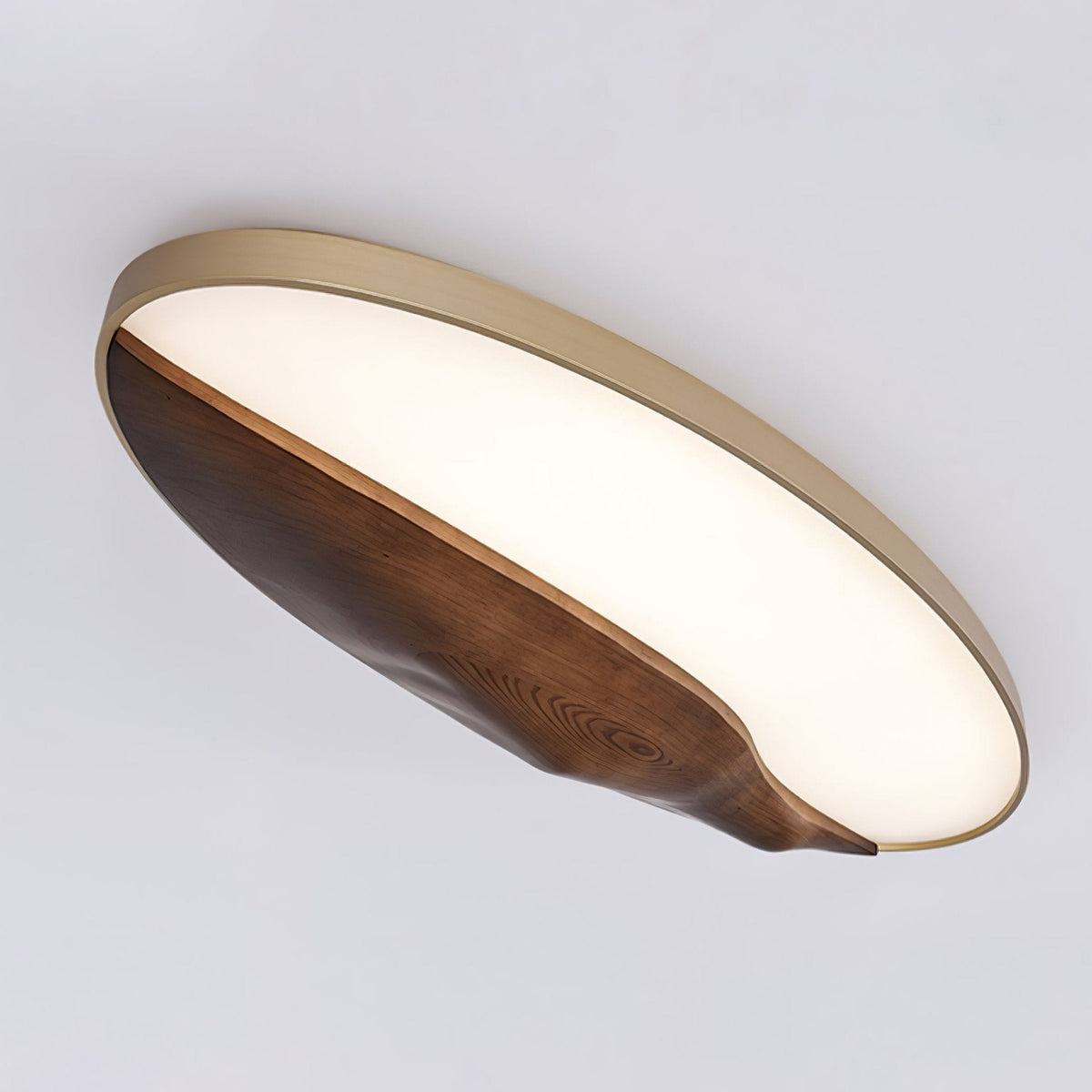 Half - Mountain Ceiling Lamp