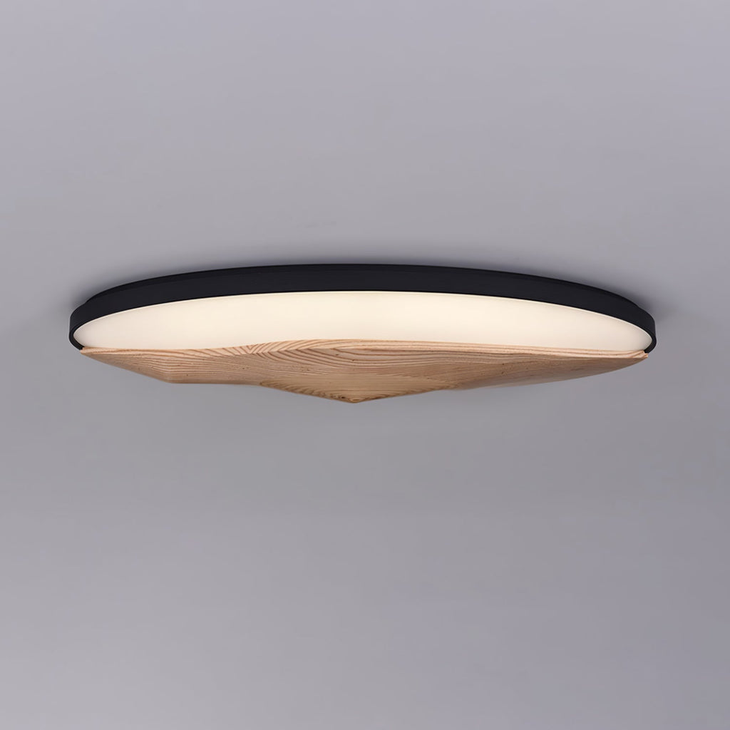 Half - Mountain Ceiling Lamp