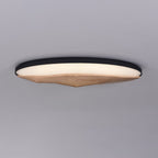 Half - Mountain Ceiling Lamp