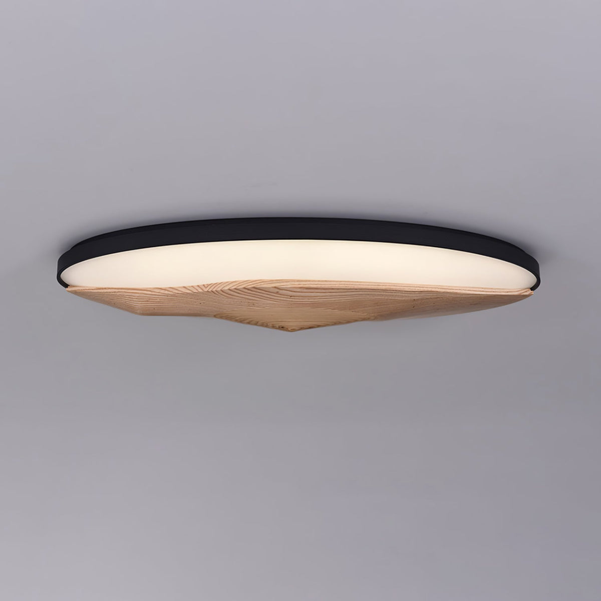 Half - Mountain Ceiling Lamp