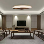 Half - Mountain Ceiling Lamp