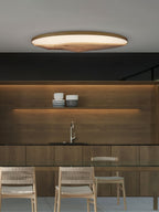 Half - Mountain Ceiling Lamp